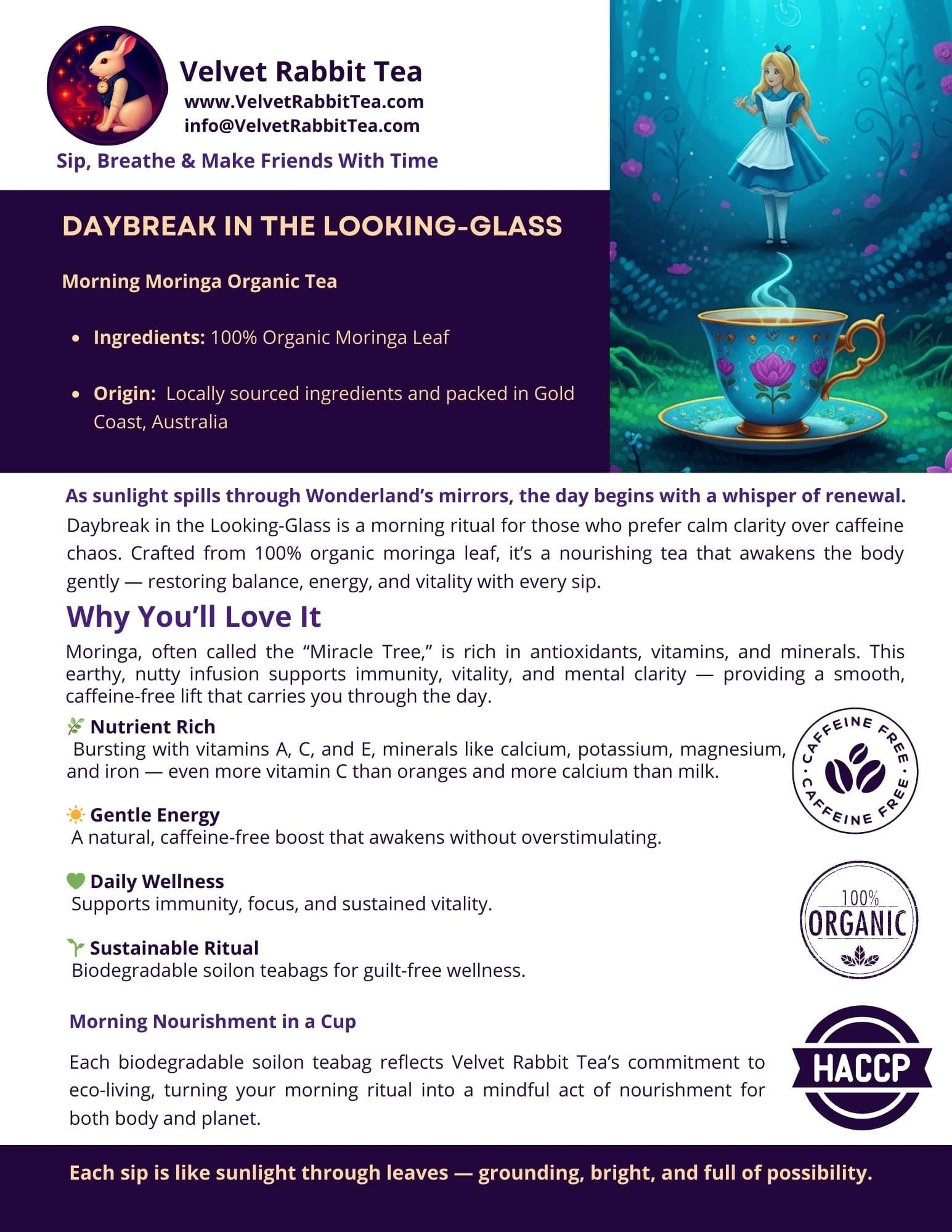 Unlocking Black Tea Properties: Rituals for Calm & Focus